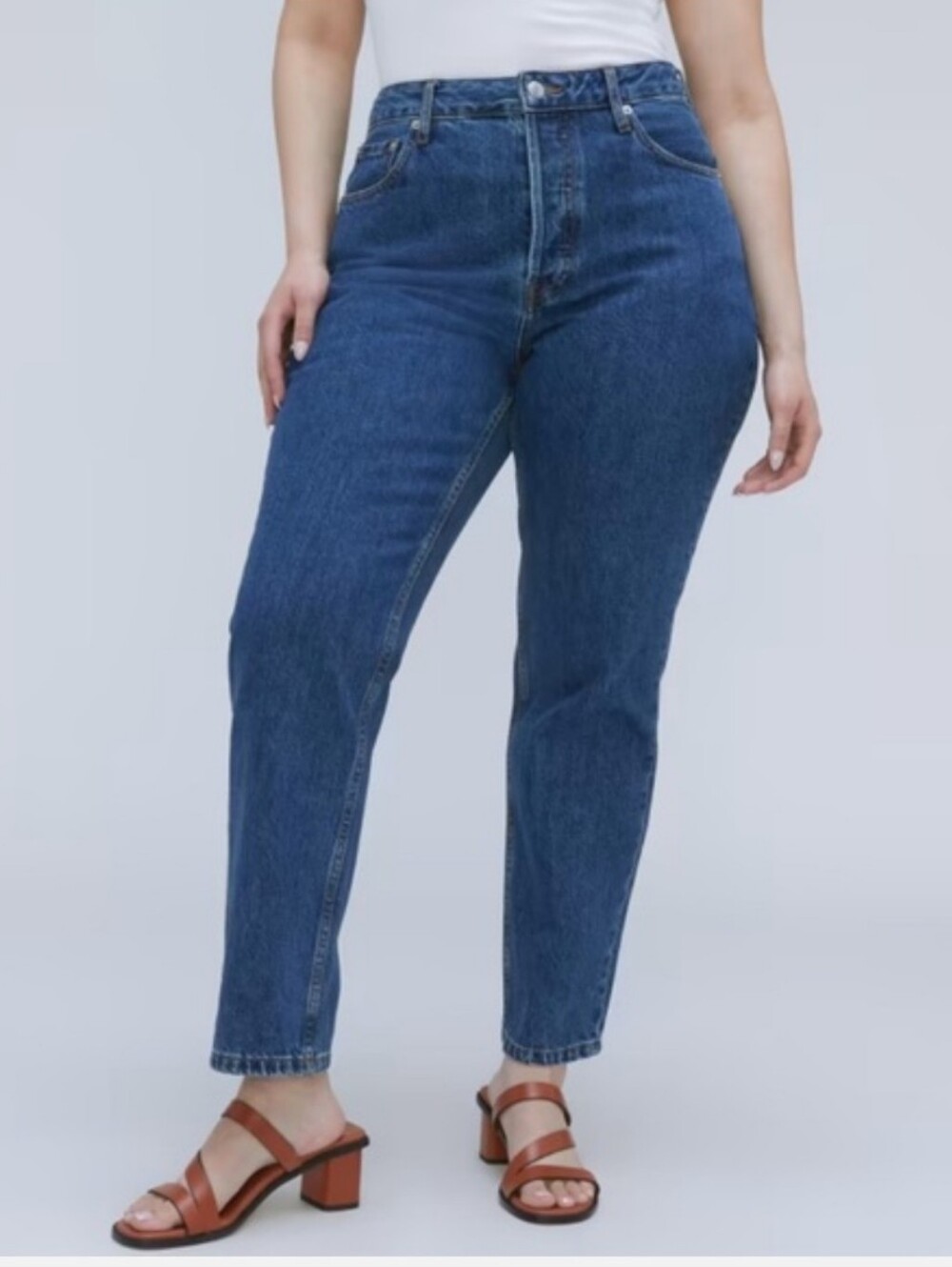 NWT Everlane The Curvy ’90s Cheeky Straight Jean Blue Denim 32 Crop High Rise